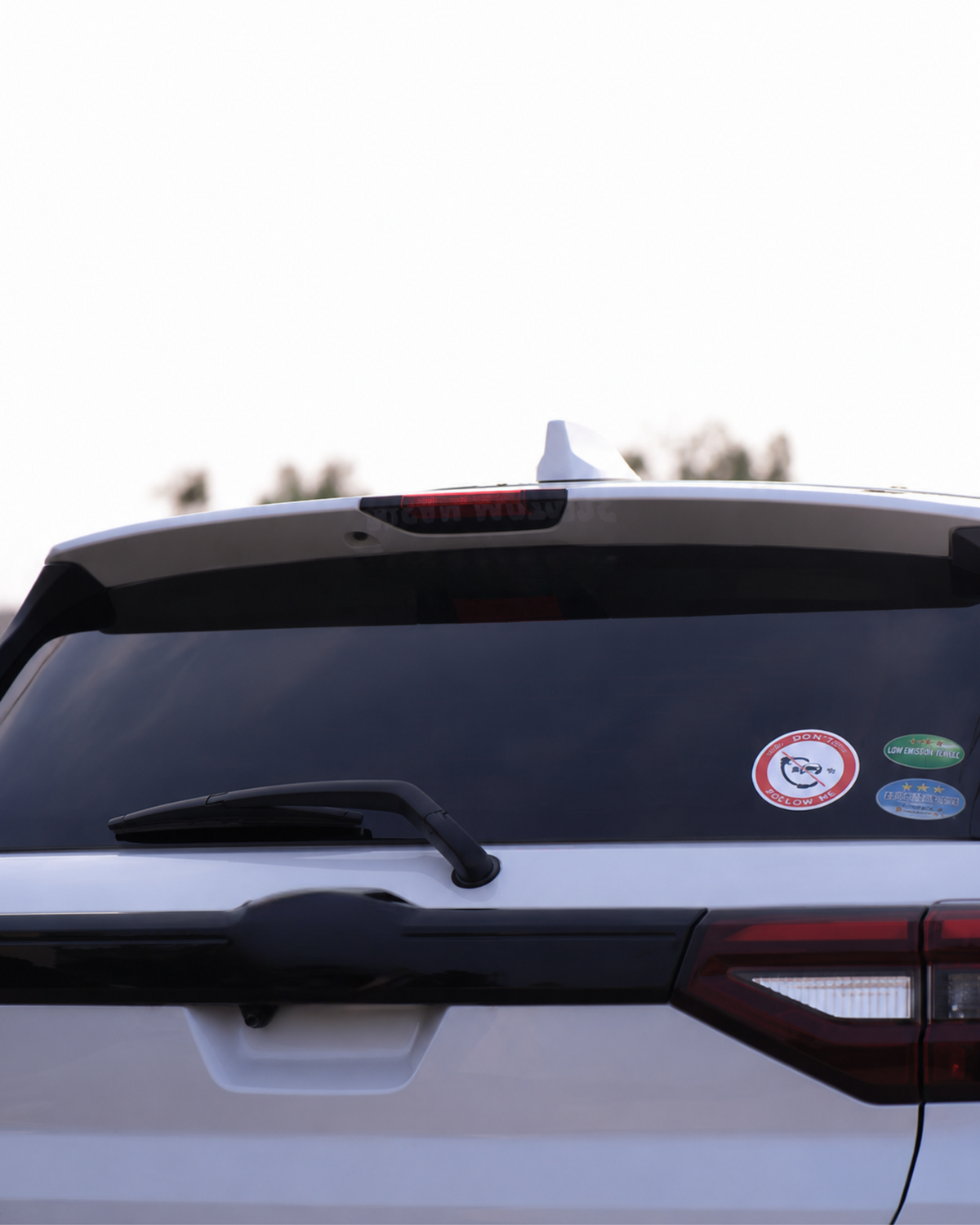 Rear Window Shield
